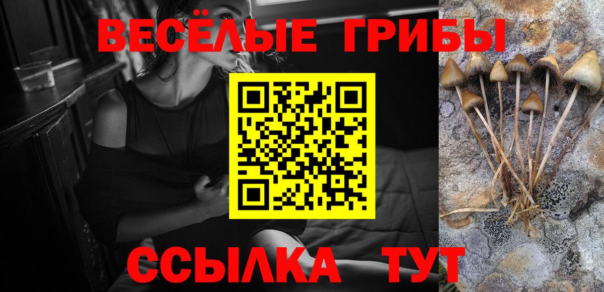 Чусовой  Галлюциногенные грибы GOLDEN TEACHER  Вход с VPN 